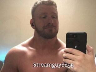 Streamguy8895