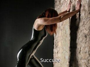 succube Anal Fist