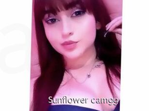 Sunflower_cam99