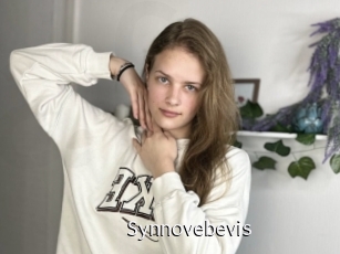 Synnovebevis