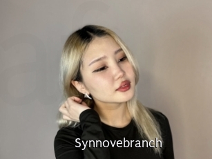 Synnovebranch