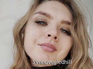 Synnovegledhill