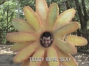 TEDDY_BEAR_SEXY