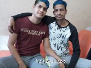 Tegusta29xx Anal Fist