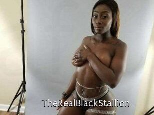 TheRealBlackStallion