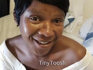 TinyToosh