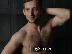 TroySander