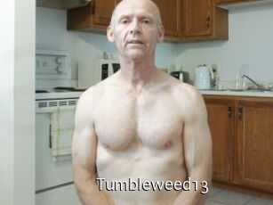 Tumbleweed13