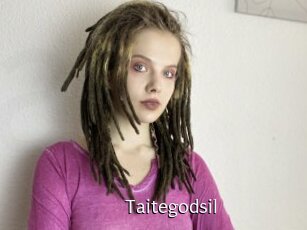 Taitegodsil