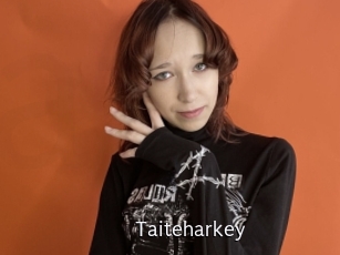 Taiteharkey