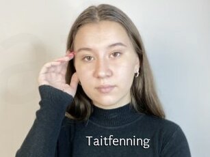 Taitfenning