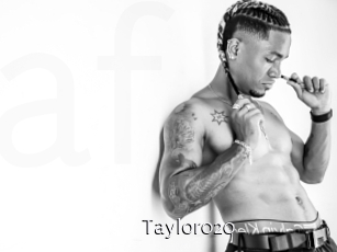 taylor020 Anal Fist