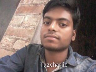 tazcharlie Anal Fist