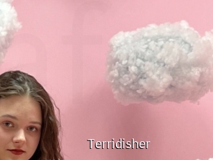 Terridisher