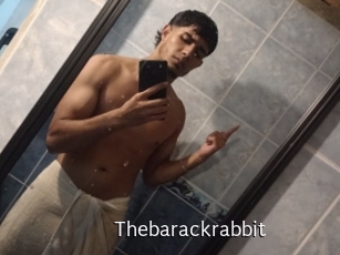 Thebarackrabbit