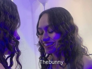 thebunny Anal Fist
