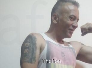 thelion Anal Fist