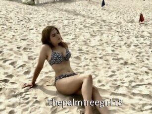 Thepalmtreegirl18