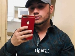 Tiger93