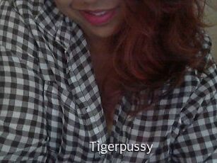Tigerpussy