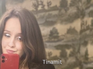 Tinamit