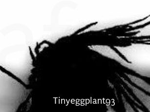 Tinyeggplant93