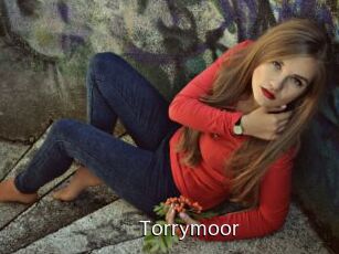 Torrymoor