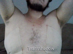 Transshadow
