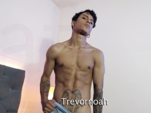 trevornoah Anal Fist