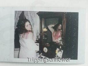 Trippingsunflower