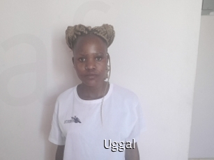 Uggal