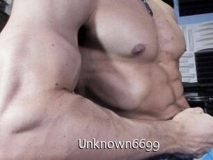 Unknown6699