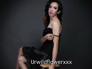 Urwildflowerxxx