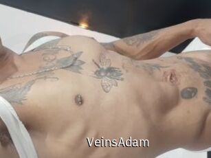 VeinsAdam
