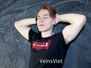 VeinsViet