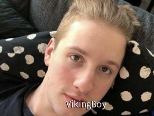 VikingBoy