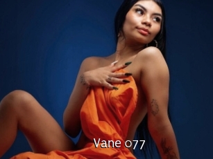 Vane_077
