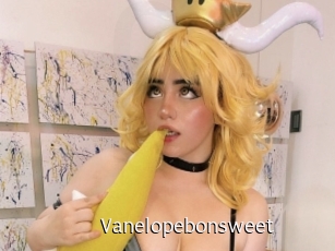 Vanelopebonsweet