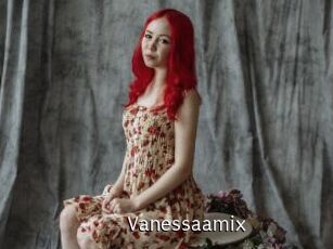 Vanessaamix