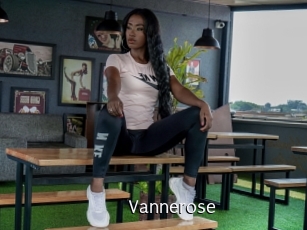 vannerose Anal Fist