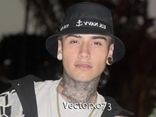 Vectorx073