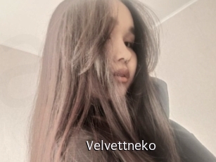 Velvettneko