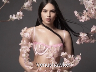 Venushawker