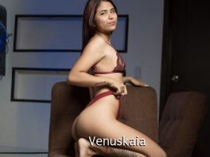Venuskaia