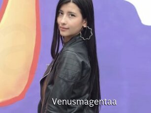 Venusmagentaa