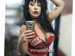 Venusvelvet