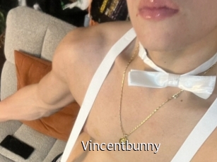 Vincentbunny