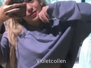 Violetcollen