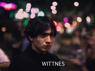 WITTNES