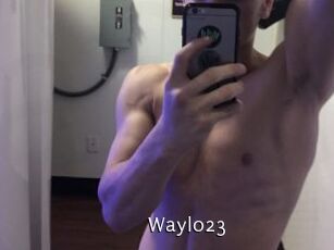 Waylo23